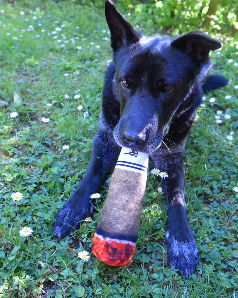 Cane nero sdraiato sul prato con il joint di peluche in bocca